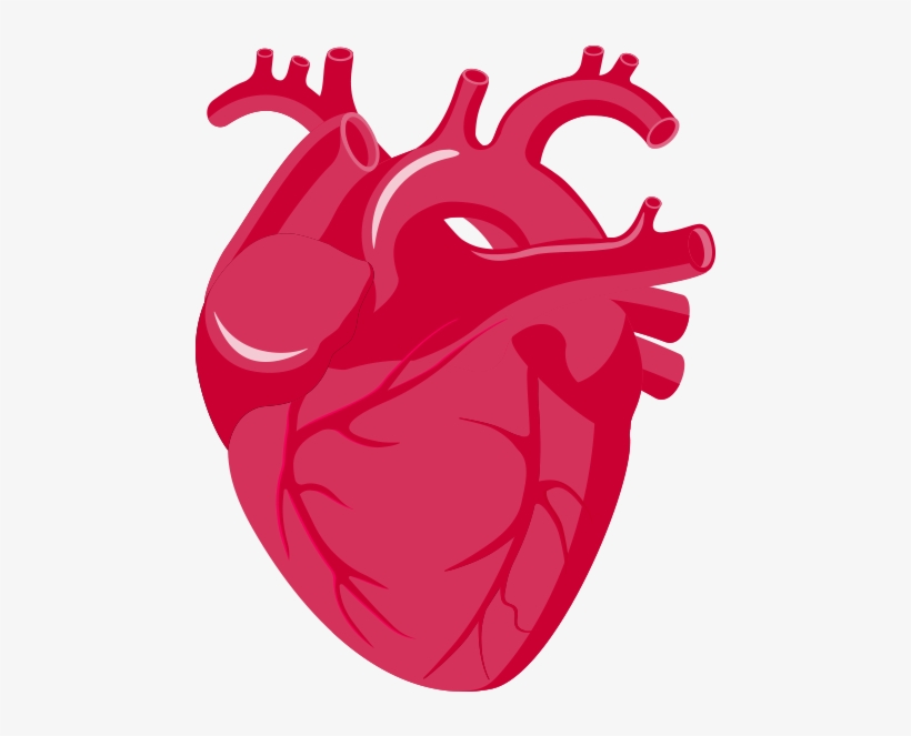 Rate Clipart Heart Failure - Insuficiencia Cardiaca Png - Free ...