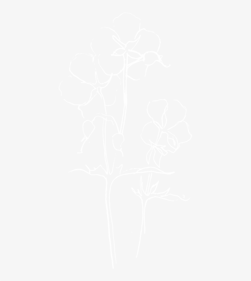 Cambridge Flower Arranging Spotify White Logo Png Free