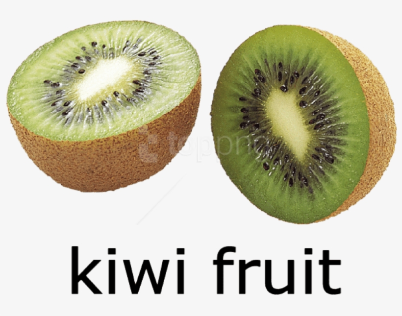 Free Png Kiwi Fruit Png Images Transparent - Kiwi Fruit Picture With Name, transparent png #9140932