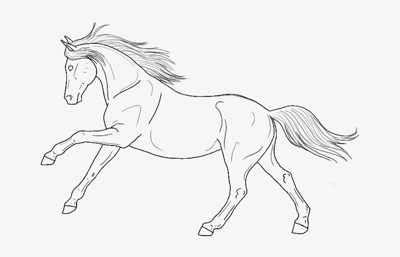 Gaited Horse Lineart - Line Art Horse Png - Free Transparent PNG ...