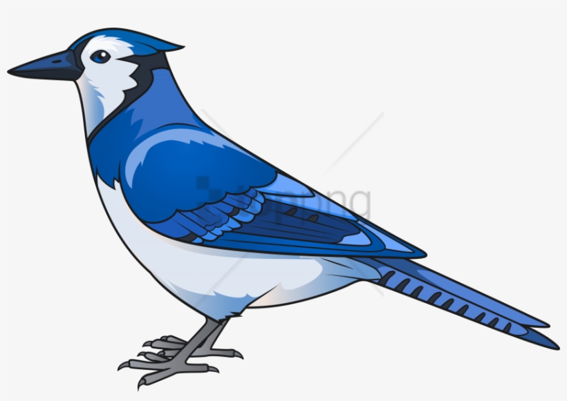 Free Blue Jay Clipart, Download Free Blue Jay Clipart png images, Free  ClipArts on Clipart Library