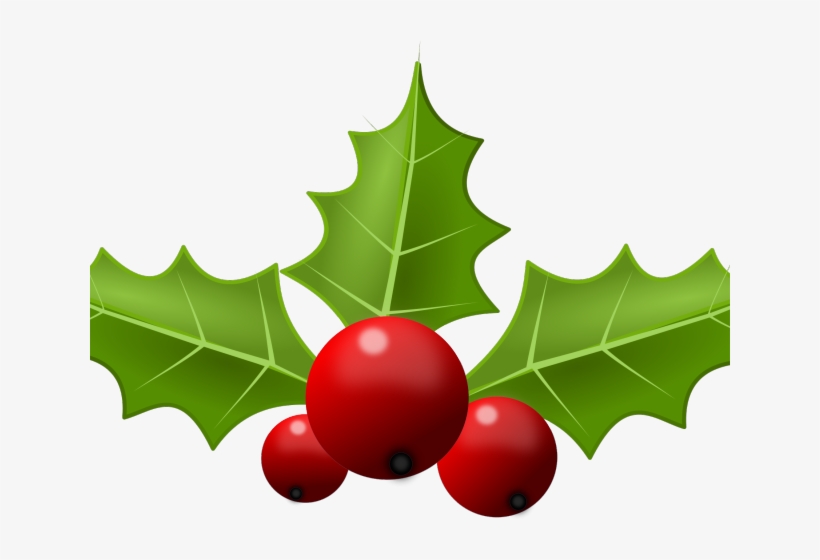 Christmas Clipart Holly - Clip Art - Free Transparent PNG Download - PNGkey