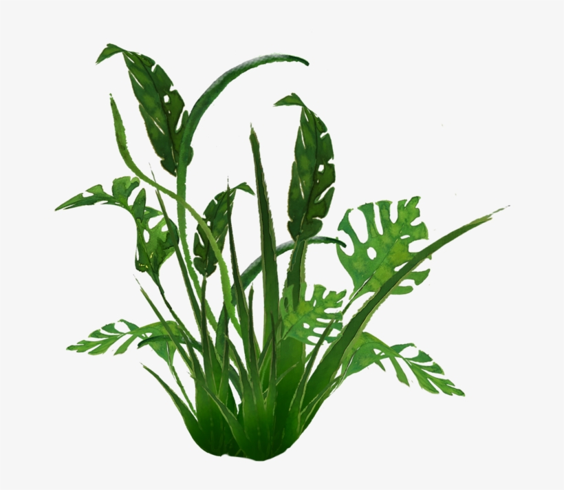 938 Jungle Plants 01 By Tigers Stock A - Transparent Jungle Plants, transparent png #9592062