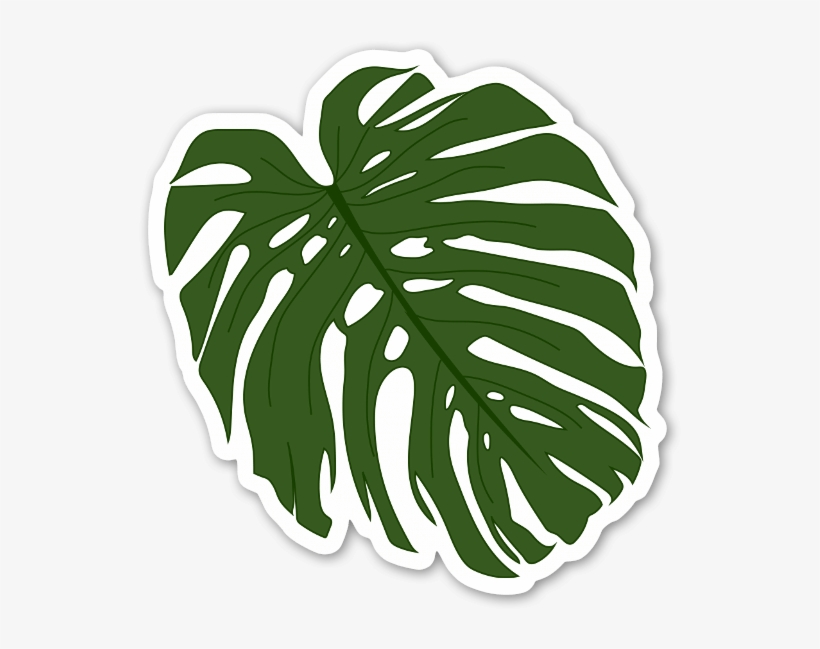 Palm Leaf Sticker - Hoja De Palmera Png - Free Transparent PNG Download ...