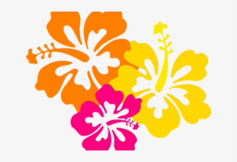 flowers borders clipart hawaiian flower flowers of hawaii png free transparent png download pngkey flowers borders clipart hawaiian flower
