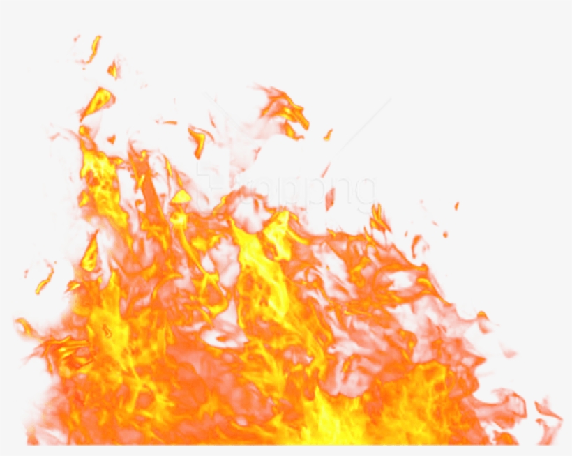 Fire Flame png download - 460*556 - Free Transparent Fire png