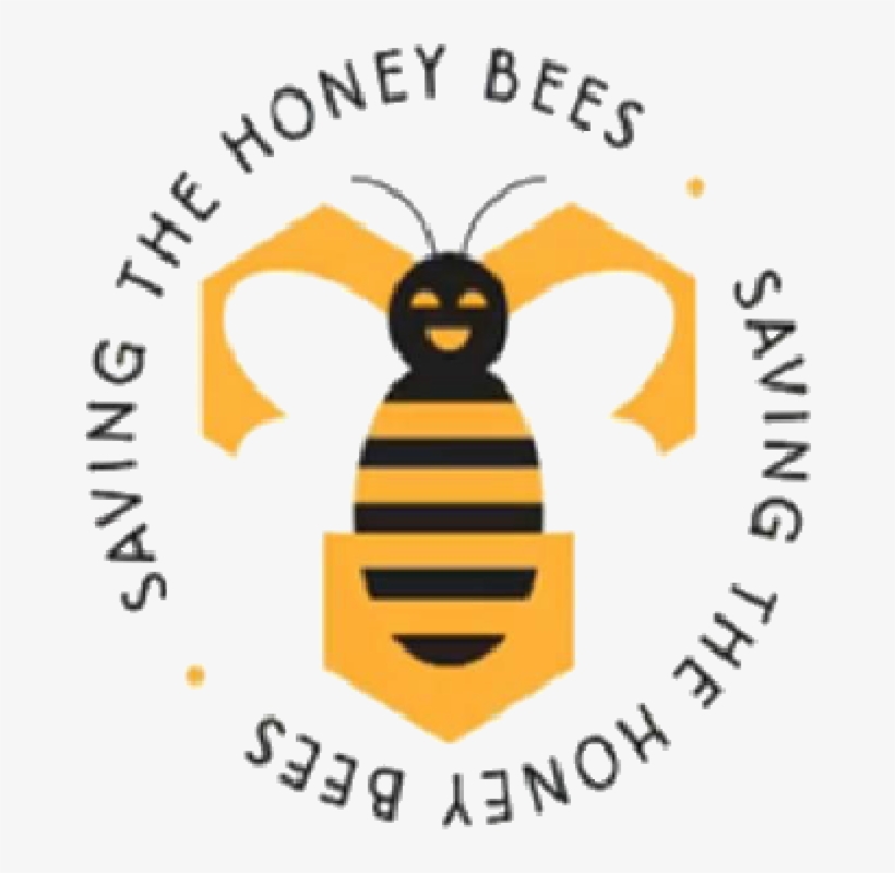 Honeybee - Free Transparent PNG Download - PNGkey