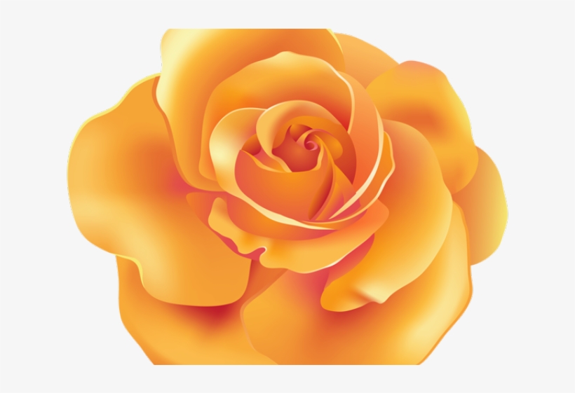Spain Clipart Beauty And The Beast Rose Orange Rose Clipart Png Free Transparent Png Download Pngkey