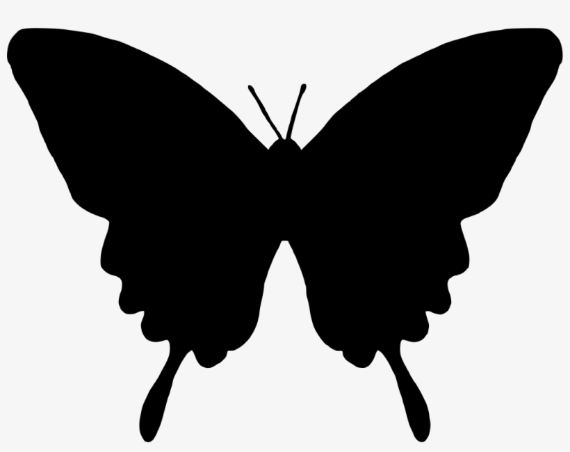 Download Png - Silhouette Of A Butterfly - Free Transparent PNG ...