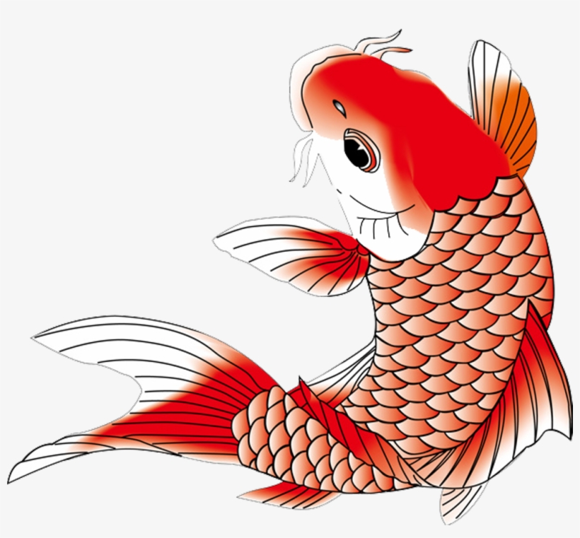 Download Koi Koifish Fish Chinese Japanese Asian Ftestickers Japanese Koi Fish Png Free Transparent Png Download Pngkey