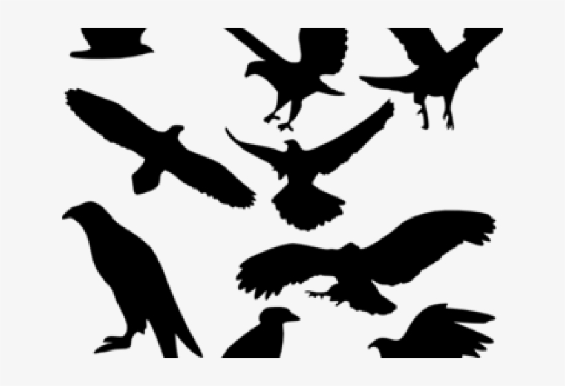 flying raven clipart free