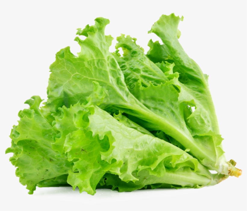 Lettuce Sandwich Butterhead Lettuce Vegetable Salad - Transparent