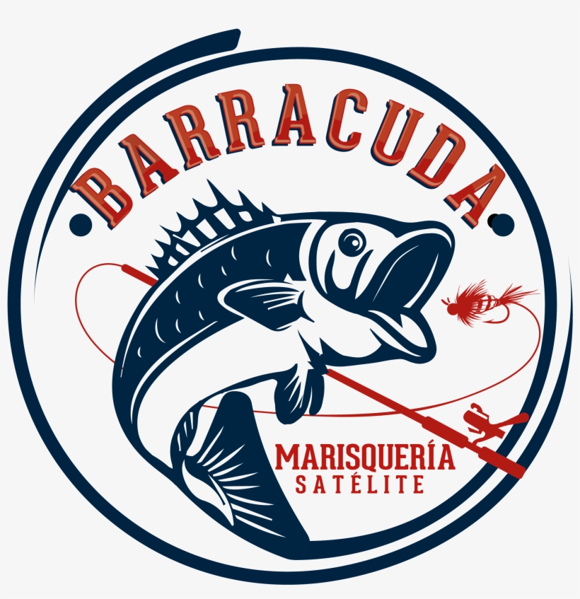 Barracuda Satelite - - Illustration - Free Transparent Png Download 