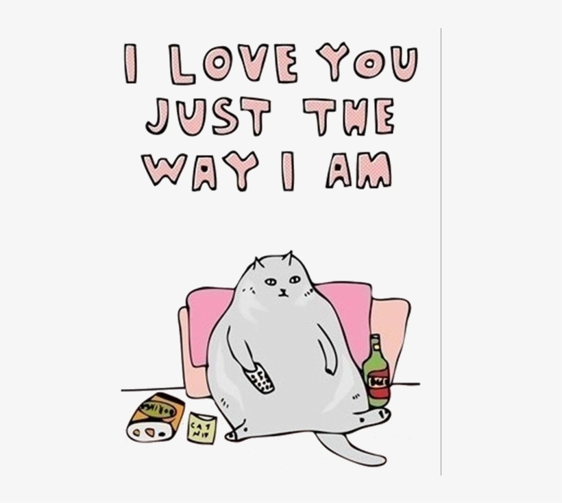 My Edit Cats Transparent Fat Cat Source Needed - Love You Just The Way I Am, transparent png #998199