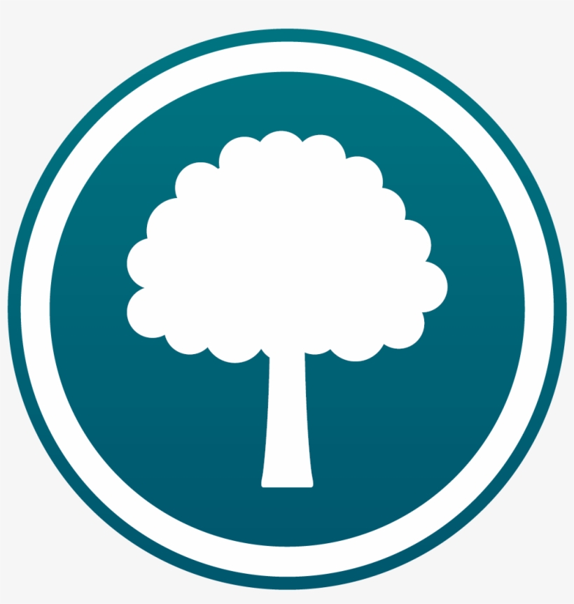 Tree Program Icon - Circle - Free Transparent PNG Download - PNGkey