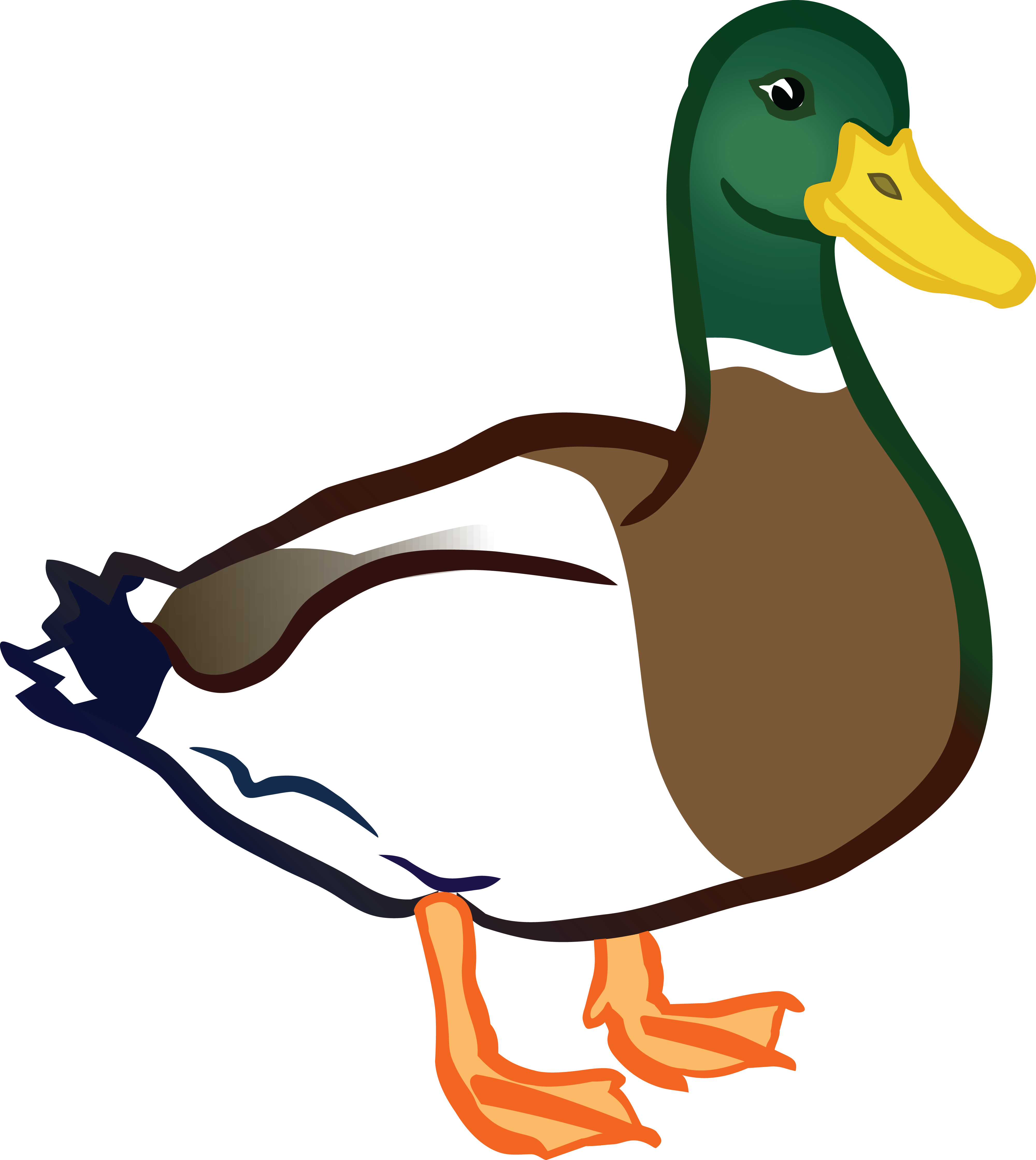 Download Clip Art Of Ducks Images On Page Duck Clipart Png Image With No Background Pngkey Com