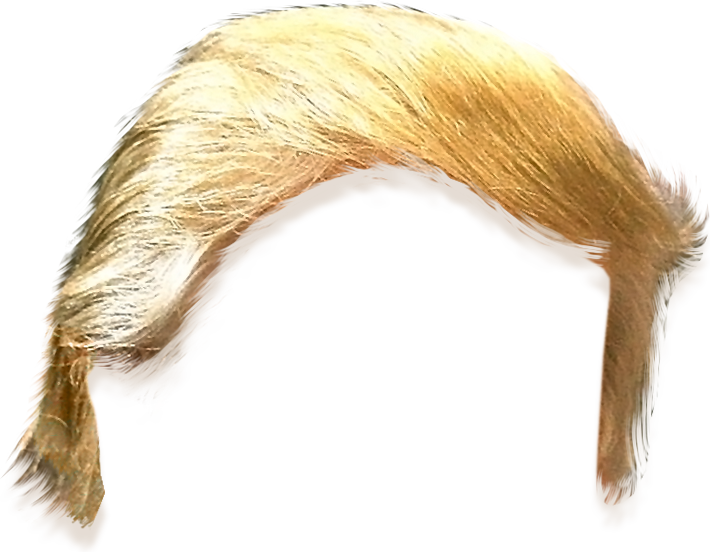 Download Donald Trump Hair Cut Out Png Image With No Background Pngkey Com