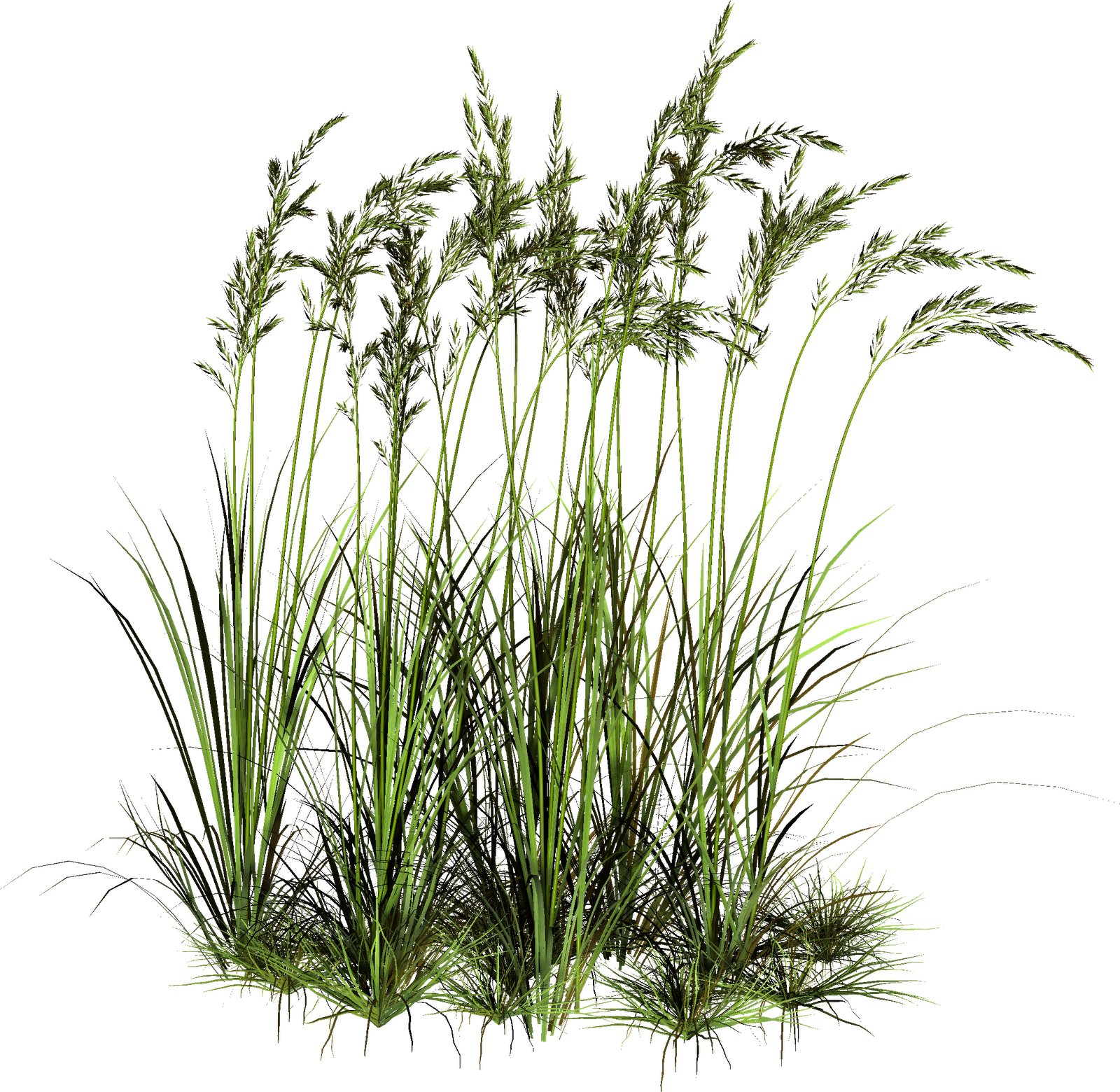 Roblox Grass PNG