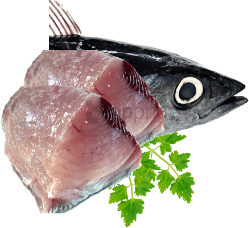 Download Free Png Fish Meat Png Png Image With Transparent Background Fresh Tuna Fish Png Png Image With No Background Pngkey Com