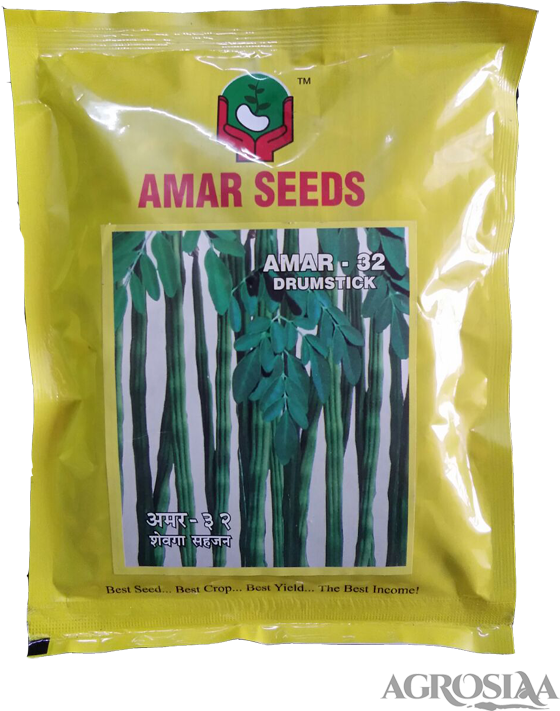 Amar-32 - Drumstick Vegetable (567x794), Png Download