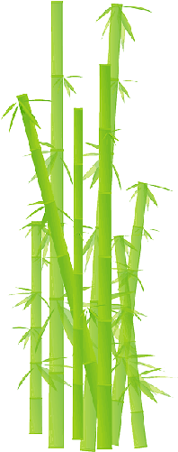 Mb Image/png - Bamboo Clipart Transparent (250x500), Png Download