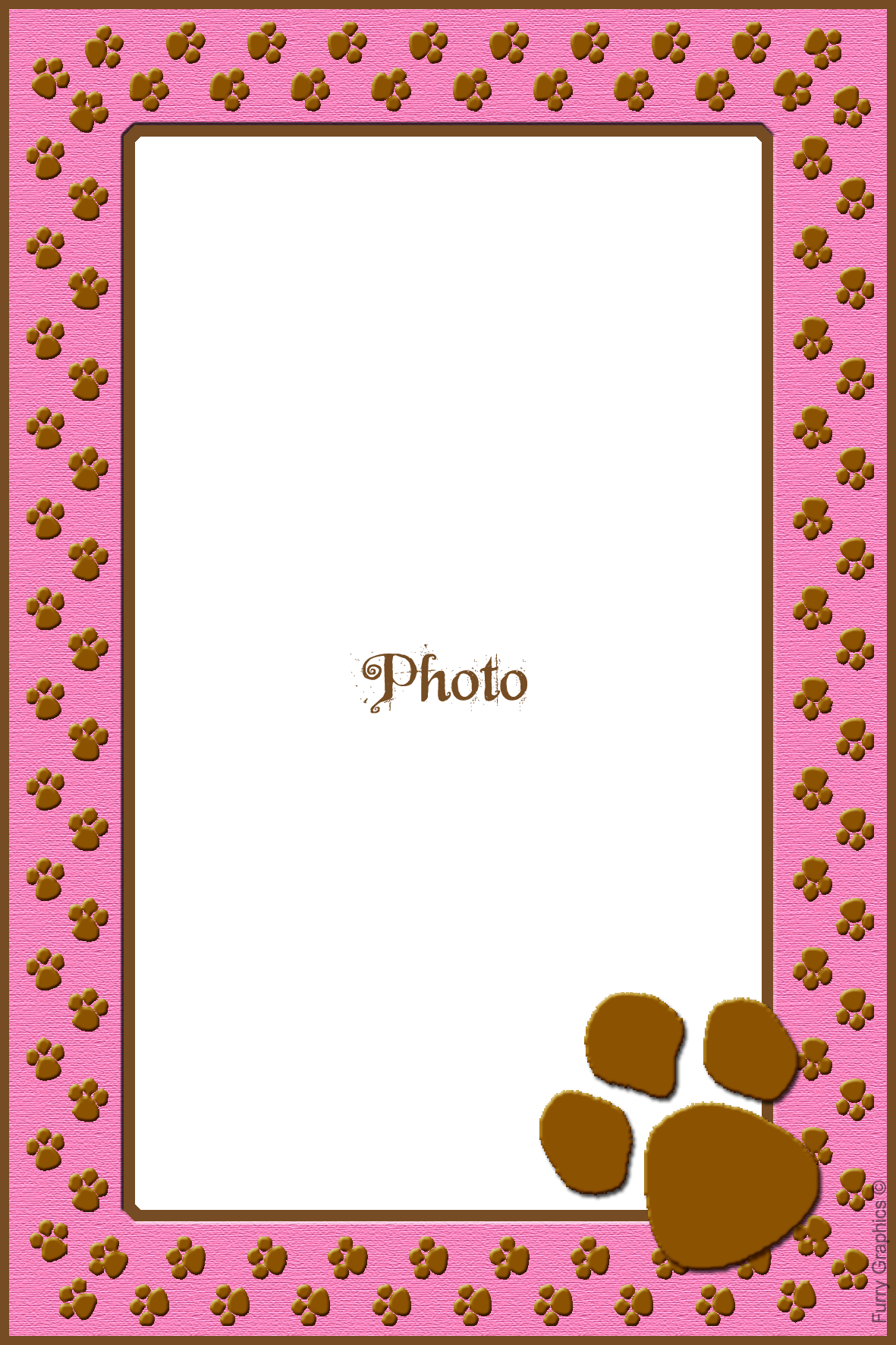 Download Kitten Digital Frames With Cat Paw Borders In Bold Kittens Border Png Png Image With 