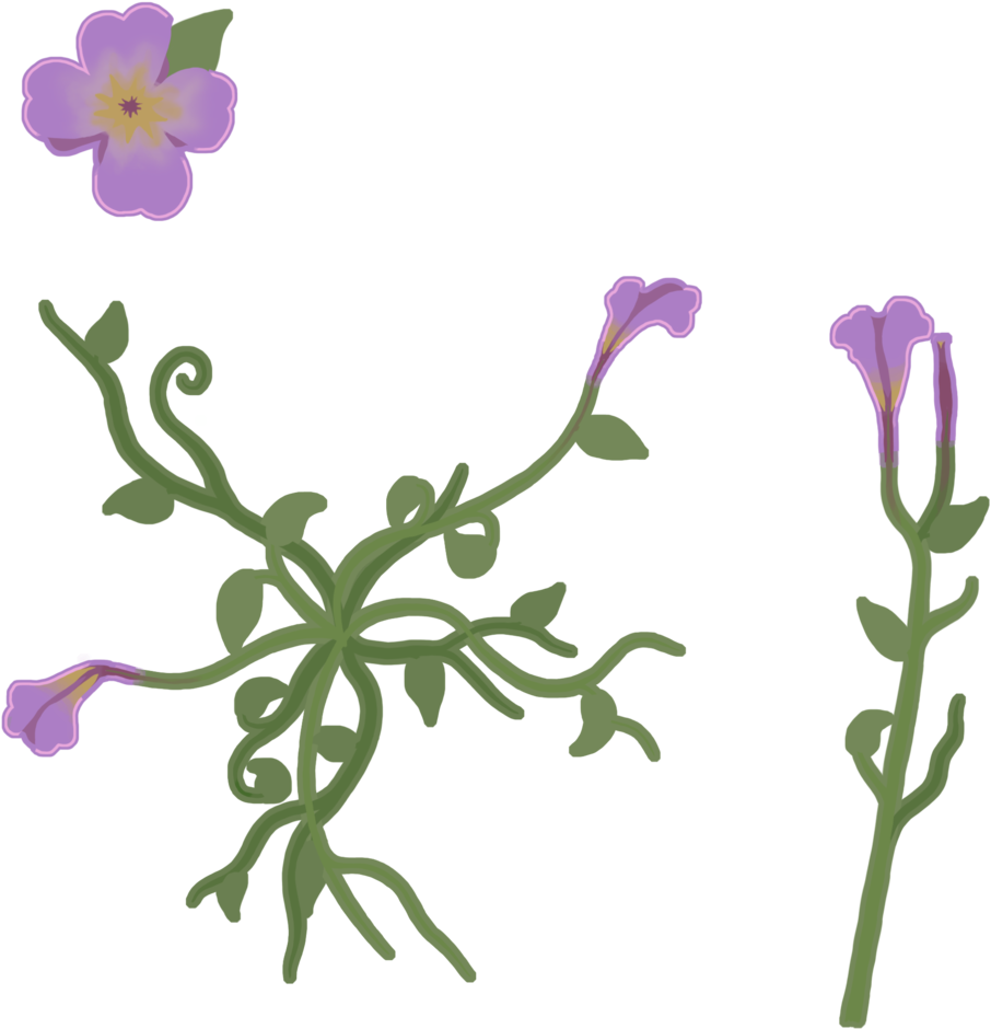 Flower Texture - Viola - Free Transparent PNG Download - PNGkey