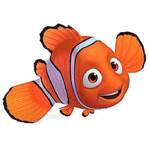 Download He Is A Young Clown Fish, He Is Very Curious, And Daring ...