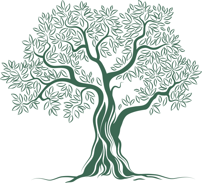 Olive Tree Logo Png - Free Transparent PNG Download - PNGkey