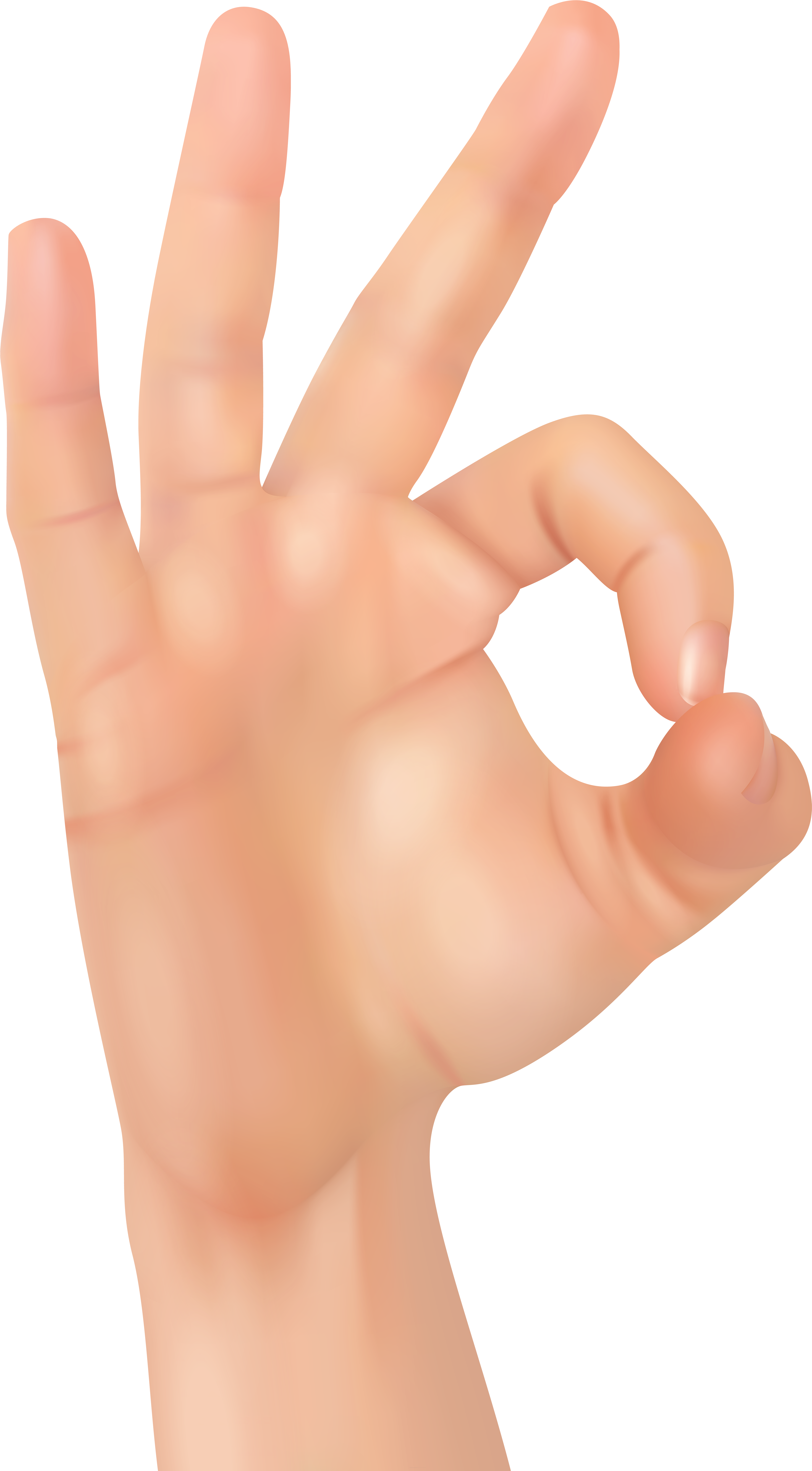 Download Okay Hand Png Clip Art Image Okay Hand Png Png Image With No Background Pngkey Com