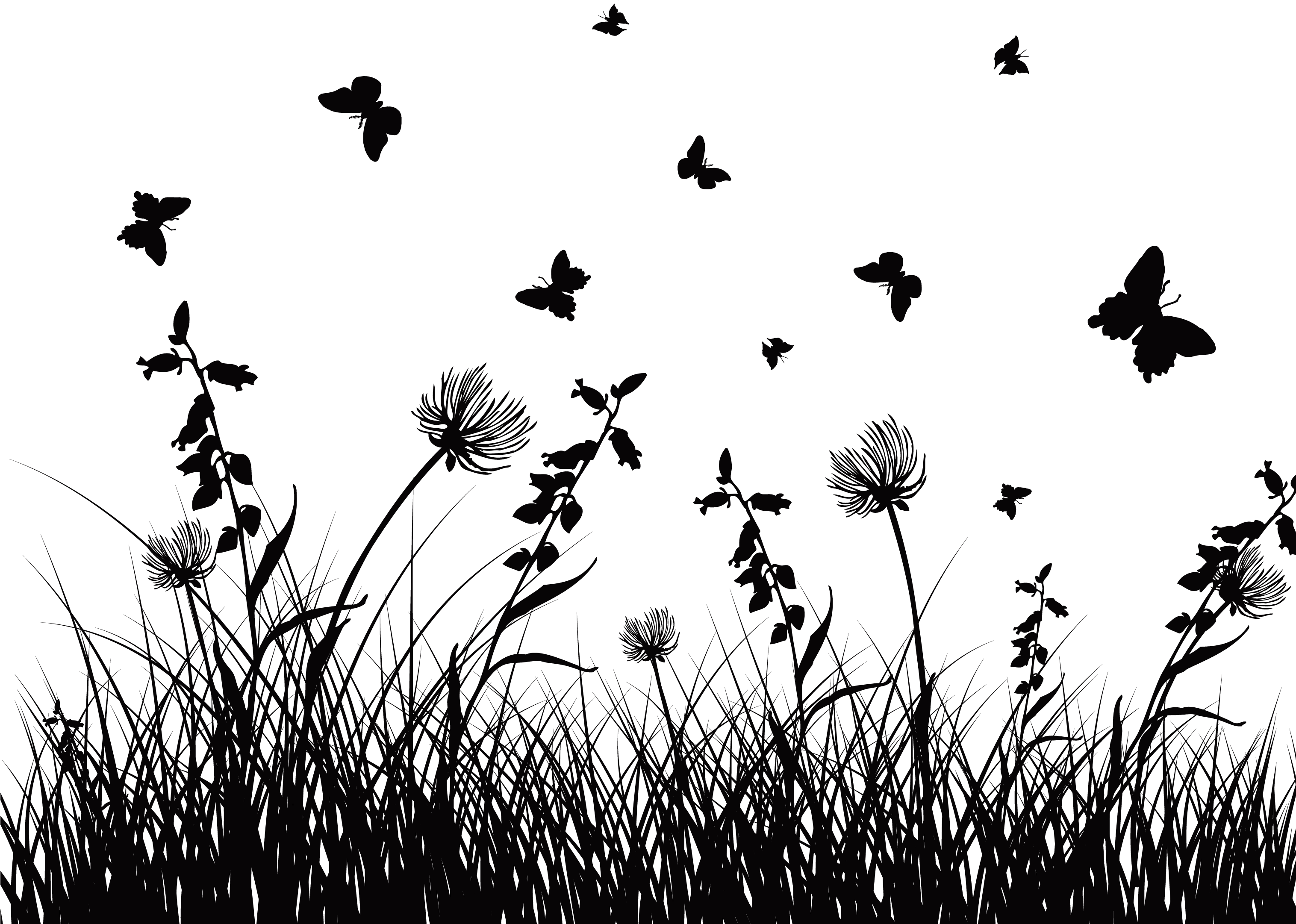 Free Free 316 Transparent Wildflower Svg Free SVG PNG EPS DXF File