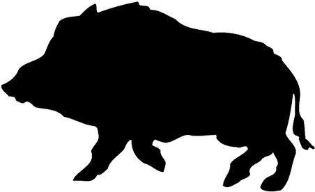 Download Metssiga - Wild Pig Silhouette Png PNG Image with No ...