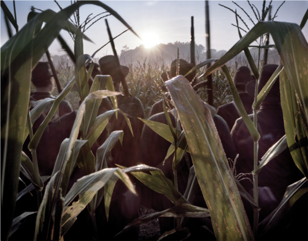 Blackhats In The Cornfield (1000x1500), Png Download