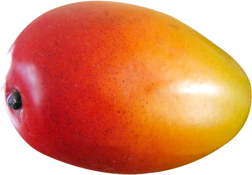 Download Download Mango Fruit Png Image Mango Fruit Images Png Png Image With No Background Pngkey Com