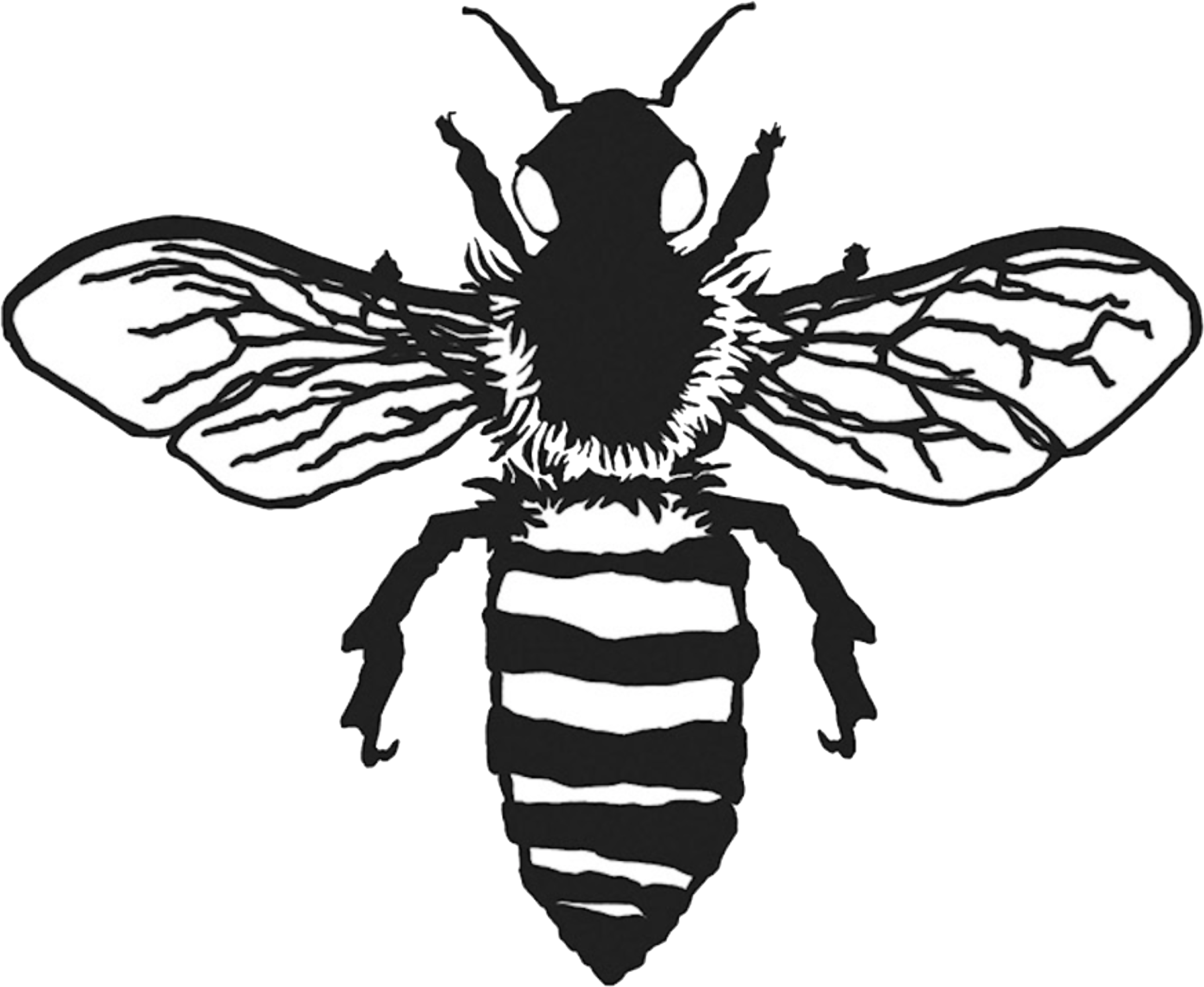 Download Vintage Bee Png - Honeybee PNG Image with No Background ...