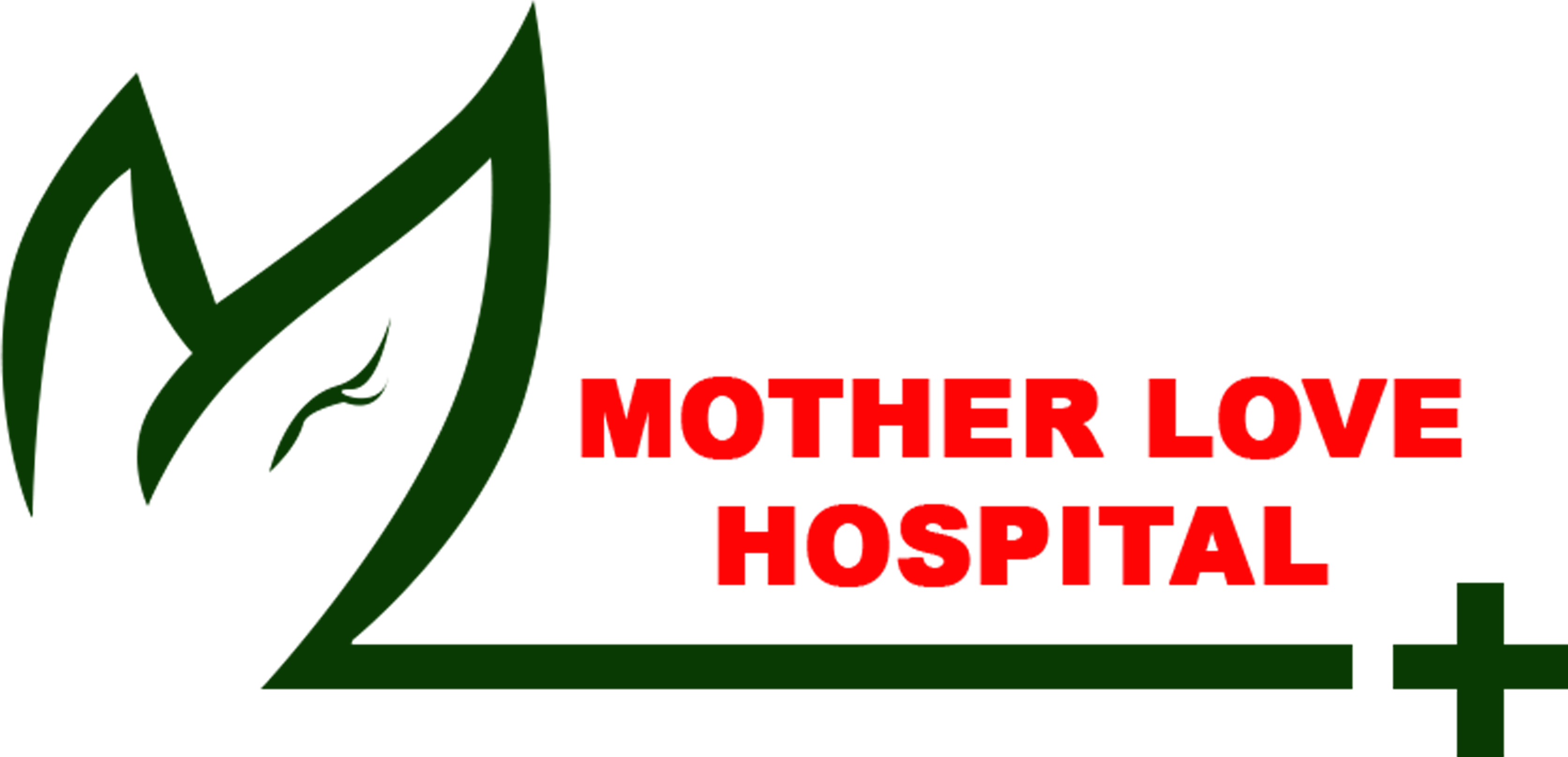 Elisha Hospital Logo PNG Transparent & SVG Vector - Freebie Supply
