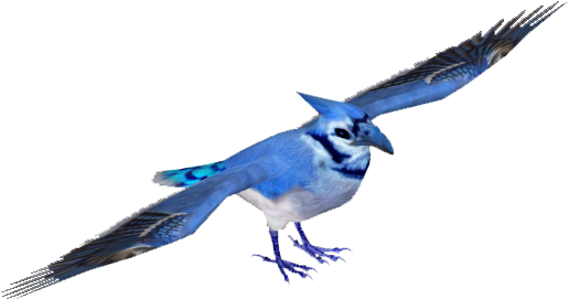 Download Bluejay Tamarahenson Blue Jay Png Image With No Background Pngkey Com