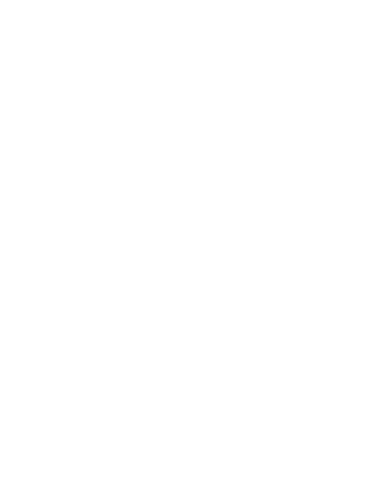secure icon png