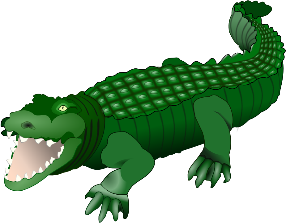 Alligator - Crocodile Clipart Png - Free Transparent Png Download - Pngkey