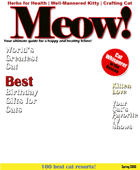 Cat Magazine Cover Template Free Transparent Png Download Pngkey