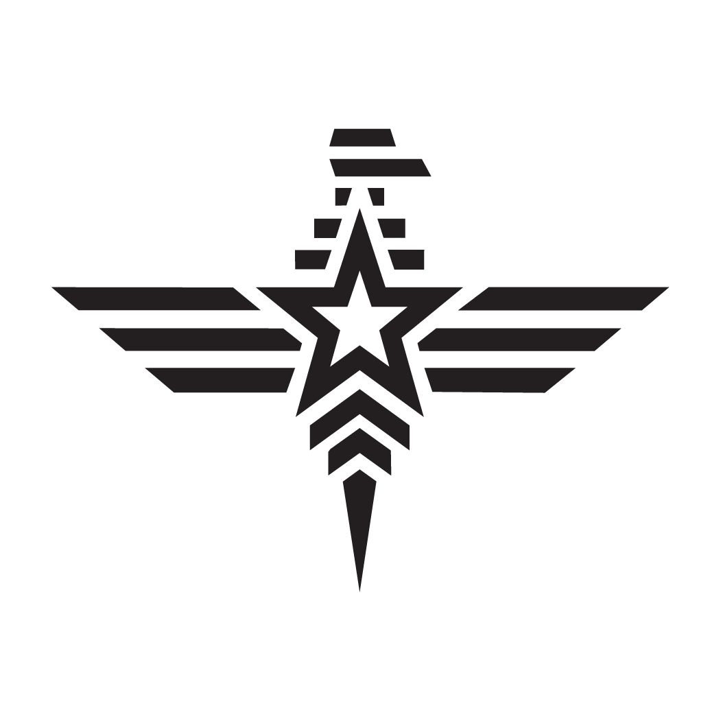 Download Us Army Star Eagle Decal - Military Star With Wings PNG Image ...