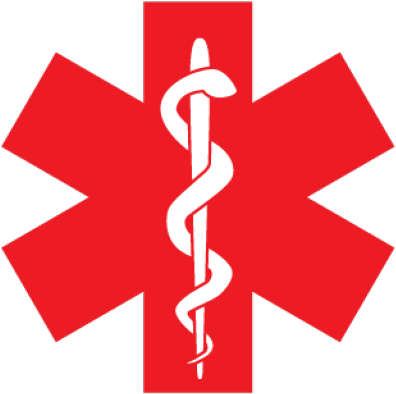 Medical Alert Logo For Epilepsy - Free Transparent PNG Download - PNGkey