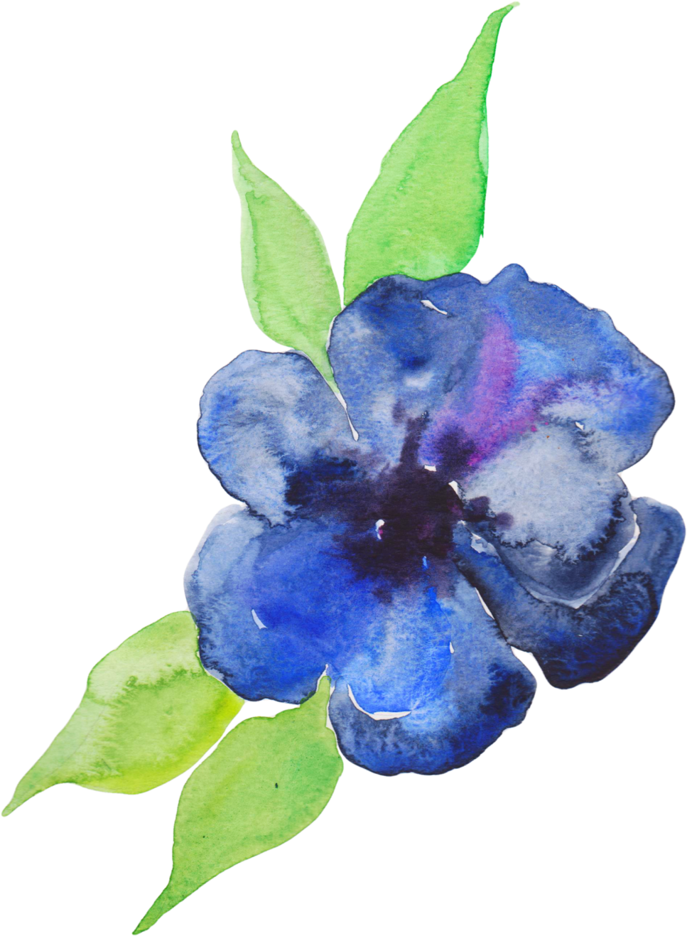 Акварельно прозрачный. Акварельные цветы. Синие Акварельные цветы. Прозрачные Акварельные цветы. Цветы акварель на прозрачном фоне.