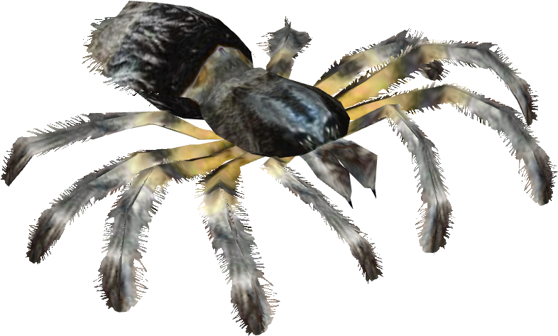 Chaco Golden Knee Tarantula - Insect - Free Transparent PNG Download ...