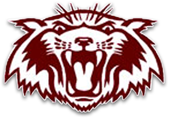 Plano Wildcats (450x450), Png Download