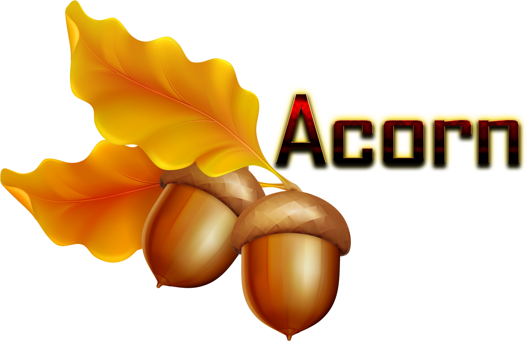 Acorn Png Hd - Transparent Background Acorn Clipart - Free Transparent ...