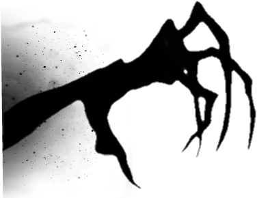 Shadow Black Scary Horror - Creepy Shadow Hand - Free Transparent PNG ...