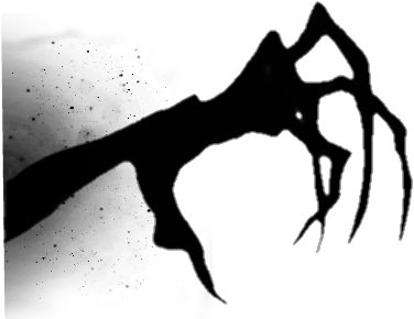 Download Shadow Black Scary Horror Creepy Shadow Hand Png Image With No Background Pngkey Com