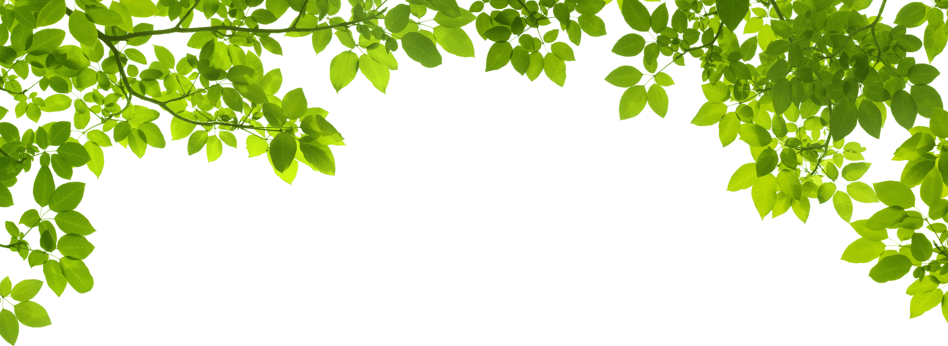 Download Green Leaf Border Png PNG Image with No Background 