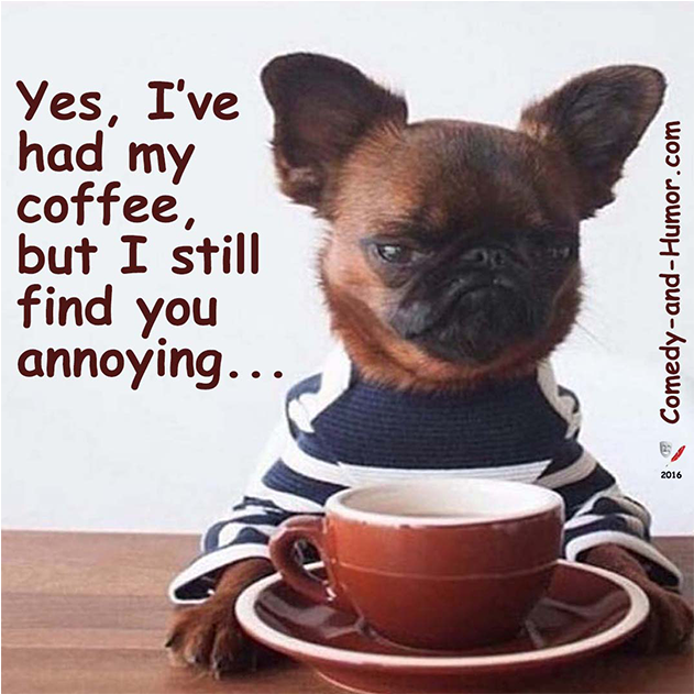 Download Grumpy Dog With Coffee - Doesn T Like Coffee Hipster Meme PNG ...